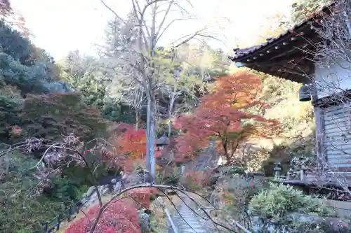 秩父札所三十二番　法性寺の自然