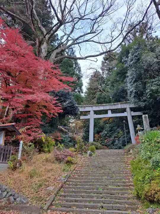 都々古別神社(馬場)(福島県)