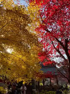 本土寺(千葉県)