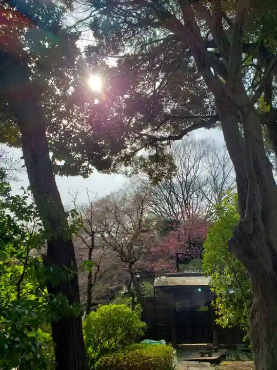 靖國神社の庭園