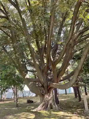 総持寺(神奈川県)