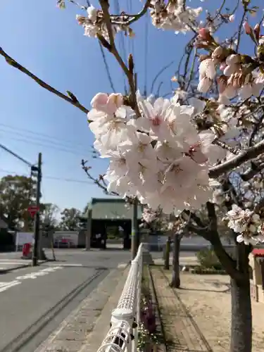 尾上神社(兵庫県)