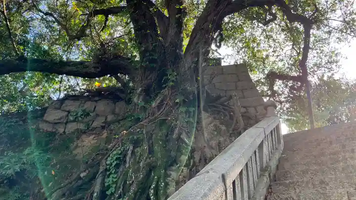 祇園神社(岡山県)