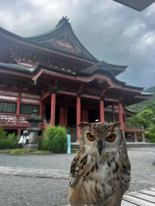 甲斐善光寺(山梨県)