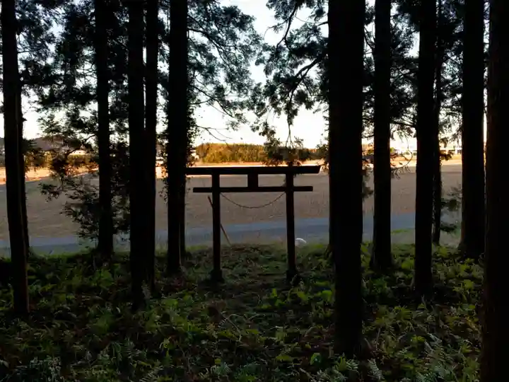 浅間神社の鳥居