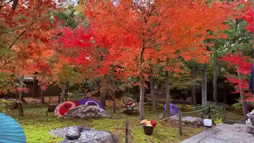勝林寺(京都府)