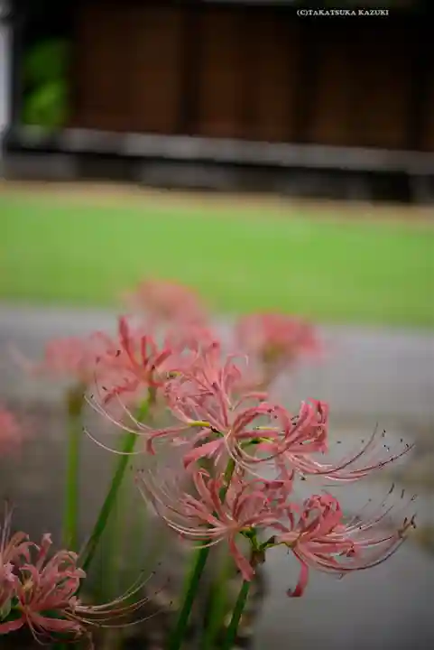 横浜 西方寺(神奈川県)