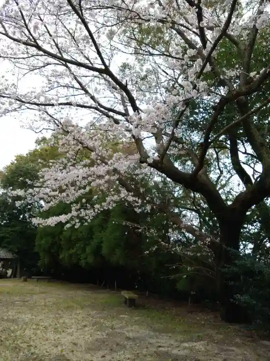 河内阿蘇神社(熊本県)