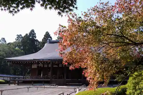 西芳寺(京都府)