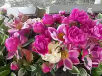 西宮八幡宮(山口県)