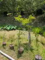 洞松寺(岡山県)