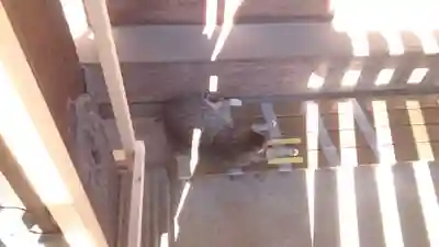 寛永寺(根本中堂)(東京都)