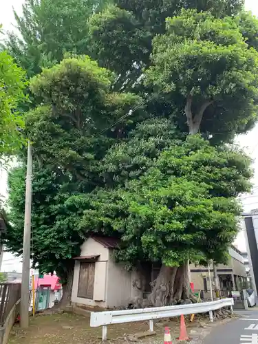 道祖神社(千葉県)