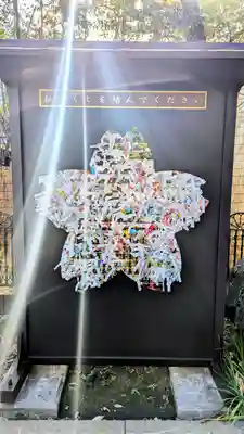 桜神宮のおみくじ