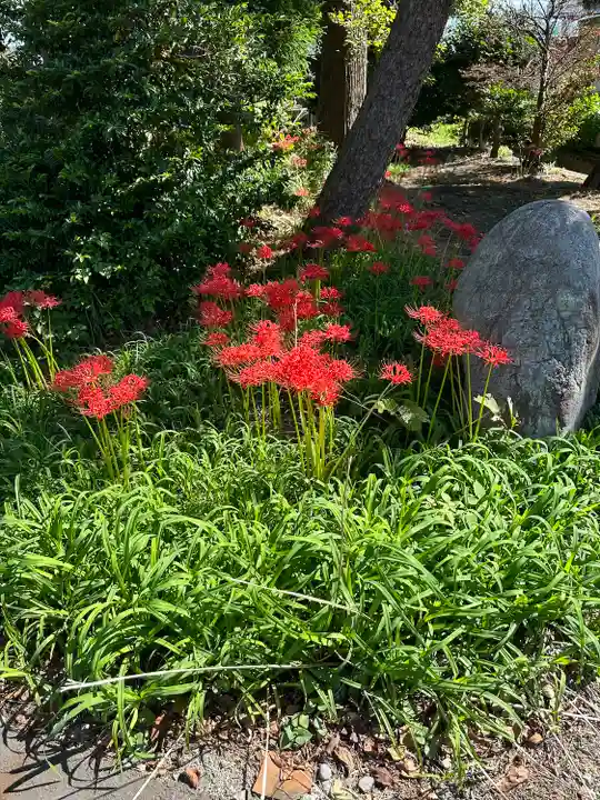 八幡神社の自然