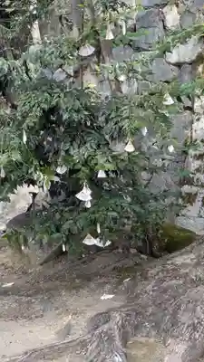 新宮神社(京都府)
