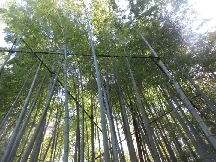 報国寺(神奈川県)