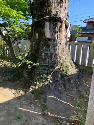 熊野大神社(埼玉県)