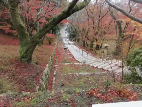 園城寺（三井寺）(滋賀県)
