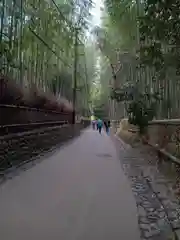 野宮神社(京都府)