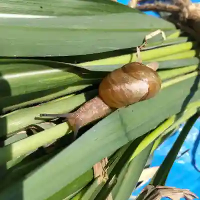 七重浜海津見神社(北海道)