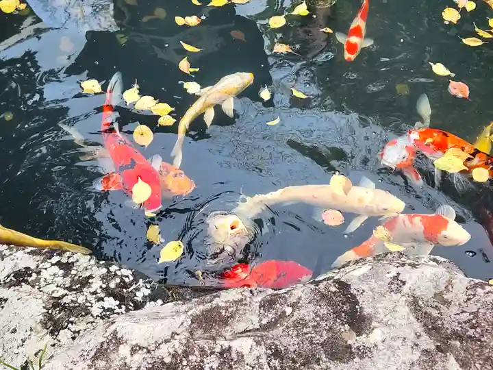 照源寺(三重県)