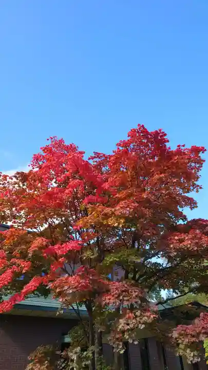 相馬神社(北海道)