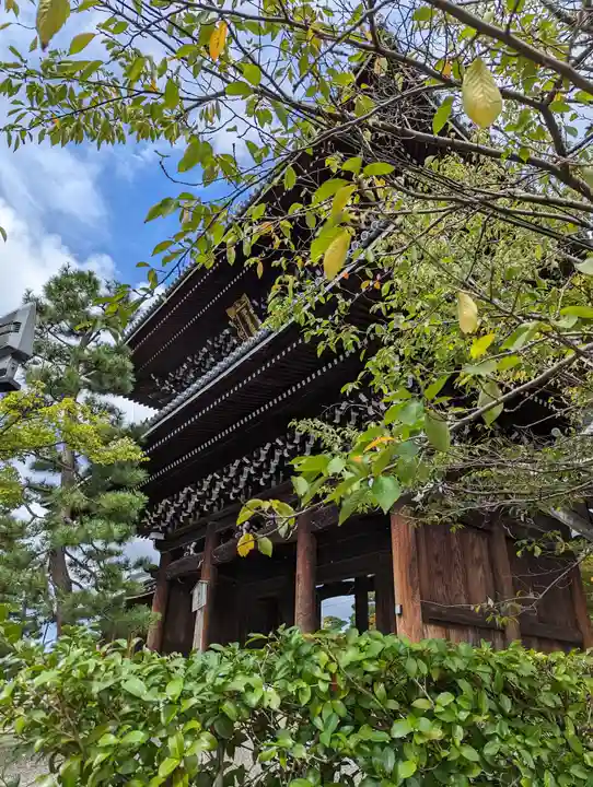 くろ谷 金戒光明寺(京都府)