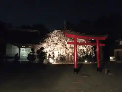 八幡社の鳥居