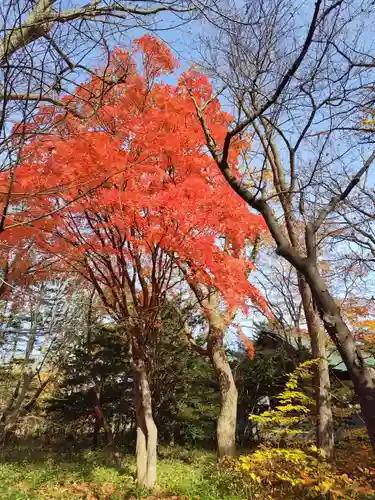 厚別神社(北海道)