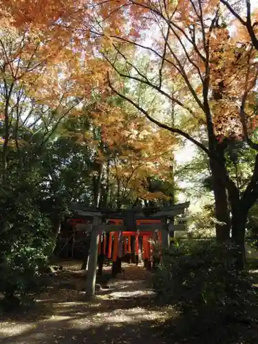 御霊神社（上御霊神社）の鳥居