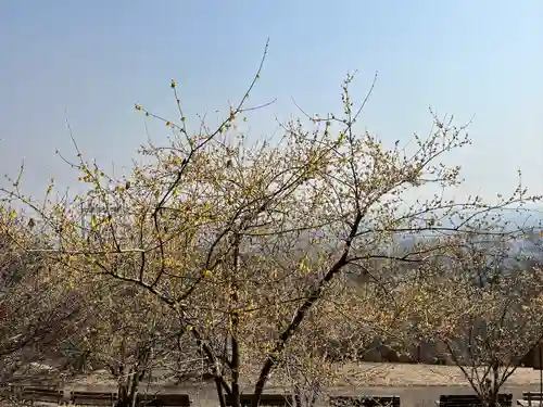 羽黒山神社の自然