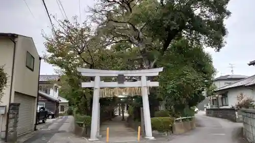 白髭神社の鳥居