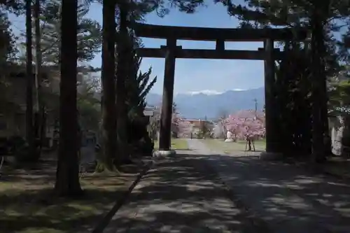 山梨縣護國神社の鳥居