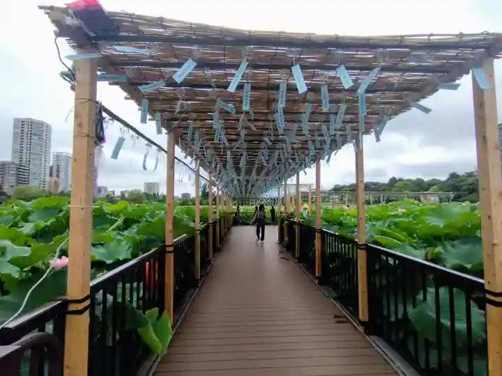 寛永寺不忍池弁天堂(東京都)