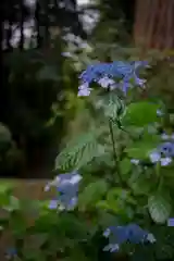 二所山田神社の自然