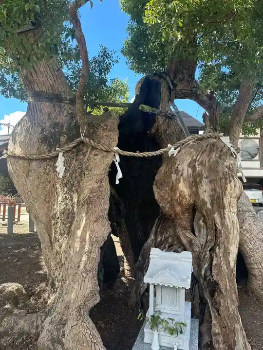 櫛田宮(佐賀県)