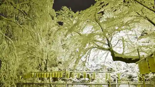 平野神社のその他建物