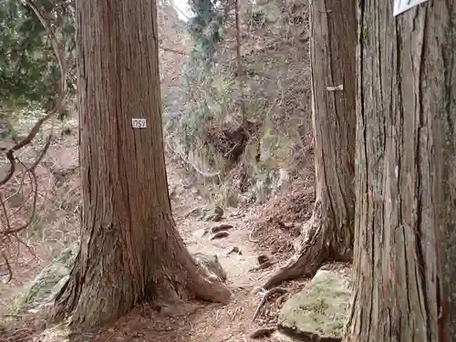 武蔵御嶽神社奥の院の自然