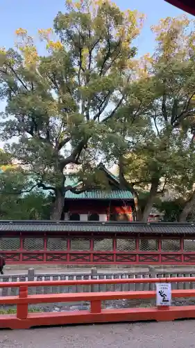 根津神社の{uncategorized: "未分類", other: "その他", undefined: "問題あり", building: "その他建物", grave: "お墓", sacred_gate: "鳥居", guardian: "狛犬", statue: "像", buddha: "仏像", history: "歴史", nature: "自然", garden: "庭園", animal: "動物", pagoda: "塔", temizu: "手水舎", mountain_gate: "山門・神門", sanctuary: "本殿・本堂", subordinate: "末社・摂社", art: "芸術", scenery: "景色", jizo: "地蔵", ema: "絵馬", goshuin: "御朱印", omikuji: "おみくじ", items: "授与品その他", amulet: "お守り", goshuincho: "御朱印帳", eats: "食事", festival: "お祭り", votive_dance: "神楽", shichigosan: "七五三参", wedding: "結婚式", experience: "体験その他", initially: "初詣", around: "周辺", anti_infection: "感染症対策"}