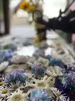 札幌諏訪神社の手水舎