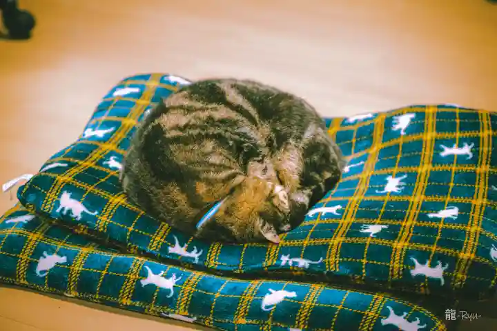 熊野那智神社(宮城県)