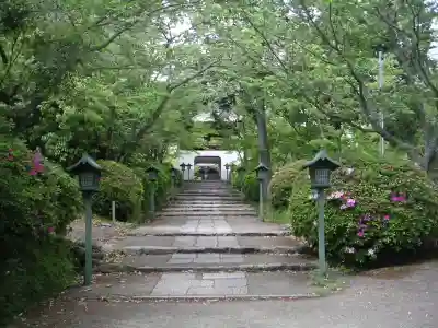根来寺のその他建物