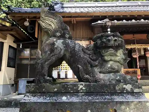 男女神社の狛犬