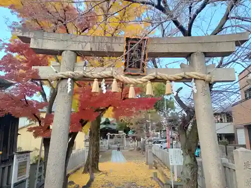 堤根神社の鳥居