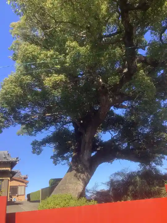 極楽寺(愛知県)