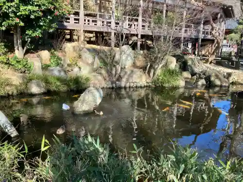 楽法寺（雨引観音）の{uncategorized: "未分類", other: "その他", undefined: "問題あり", building: "その他建物", grave: "お墓", sacred_gate: "鳥居", guardian: "狛犬", statue: "像", buddha: "仏像", history: "歴史", nature: "自然", garden: "庭園", animal: "動物", pagoda: "塔", temizu: "手水舎", mountain_gate: "山門・神門", sanctuary: "本殿・本堂", subordinate: "末社・摂社", art: "芸術", scenery: "景色", jizo: "地蔵", ema: "絵馬", goshuin: "御朱印", omikuji: "おみくじ", items: "授与品その他", amulet: "お守り", goshuincho: "御朱印帳", eats: "食事", festival: "お祭り", votive_dance: "神楽", shichigosan: "七五三参", wedding: "結婚式", experience: "体験その他", initially: "初詣", around: "周辺", anti_infection: "感染症対策"}