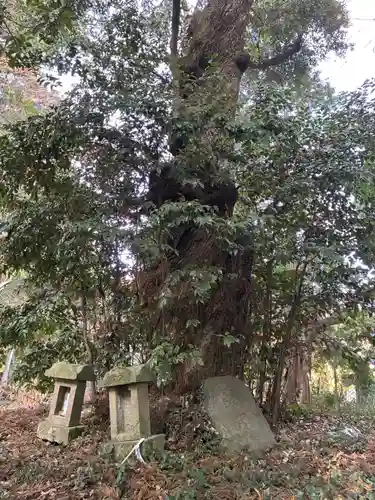 木内大神(千葉県)
