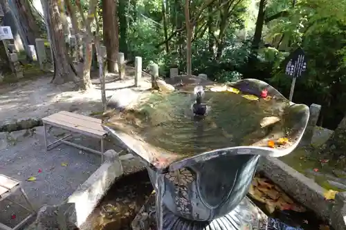 神峯山寺(大阪府)