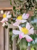 大正寺(東京都)